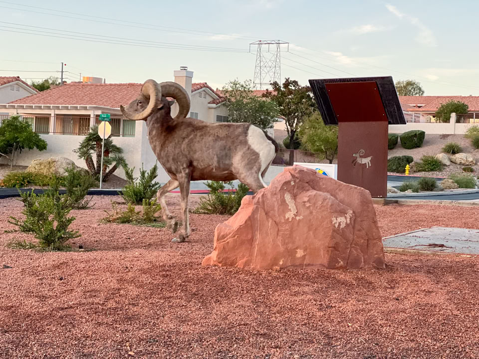 A bighorn sheep standing on a rocky landscape with houses and a sign in the background.