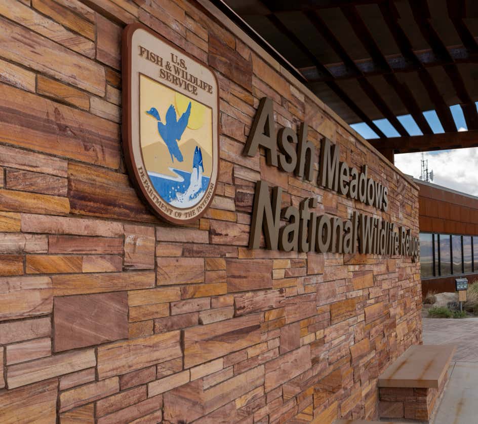 ASH MEADOWS