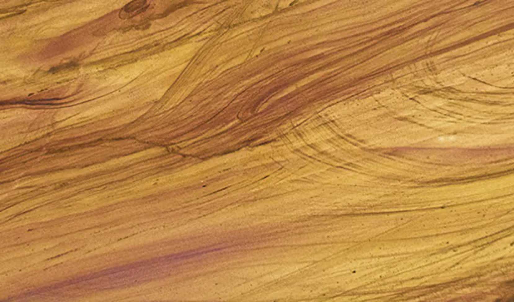 Tupelo honey slab