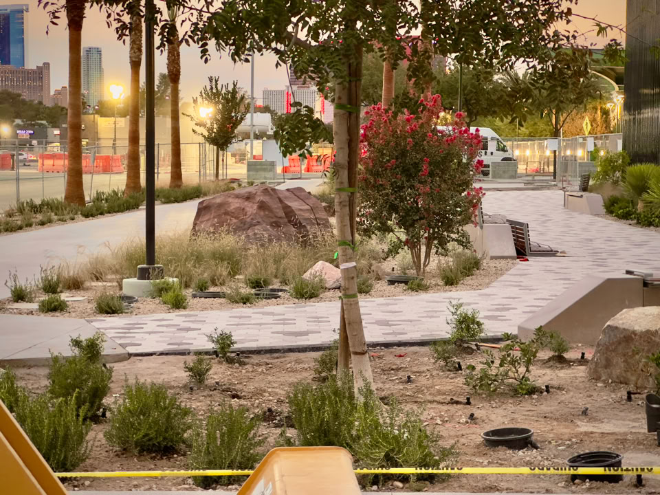 A landscaped urban park area at UMC in las vegas nv , with trees, shrubs, and a winding pathway. There is a large Stone and a lamppost, with a cityscape visible in the background.