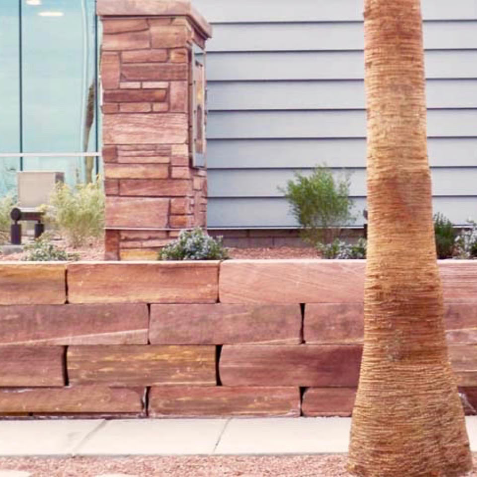 A palm tree in front of a stone wall with plants, next to a building with glass windows and horizontal siding.